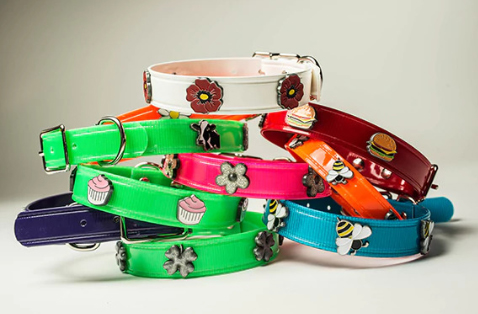 collar_all